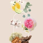 flower breeze 1 - Mosóparfüm - Flower Breeze 500 ml